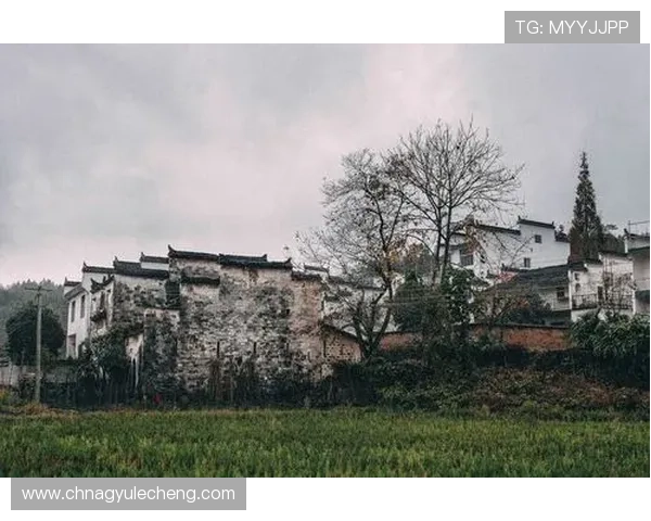 AG启航厅娱乐平台最新玩法介绍助你轻松掌握游戏技巧提升胜率